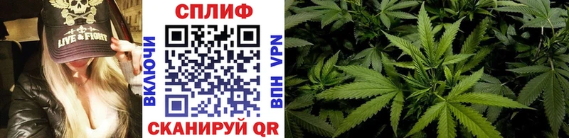 Каннабис MAZAR  цена наркотик  Кашира 
